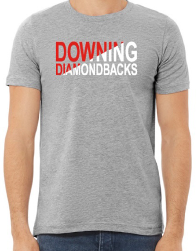 Downing PTA