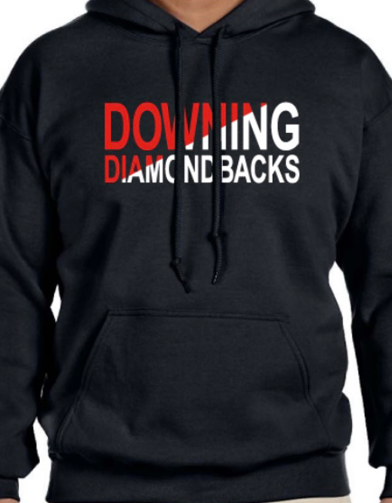 Downing PTA