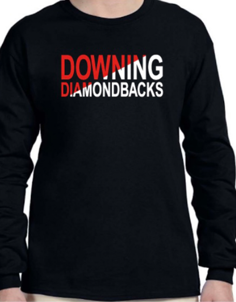 Downing PTA