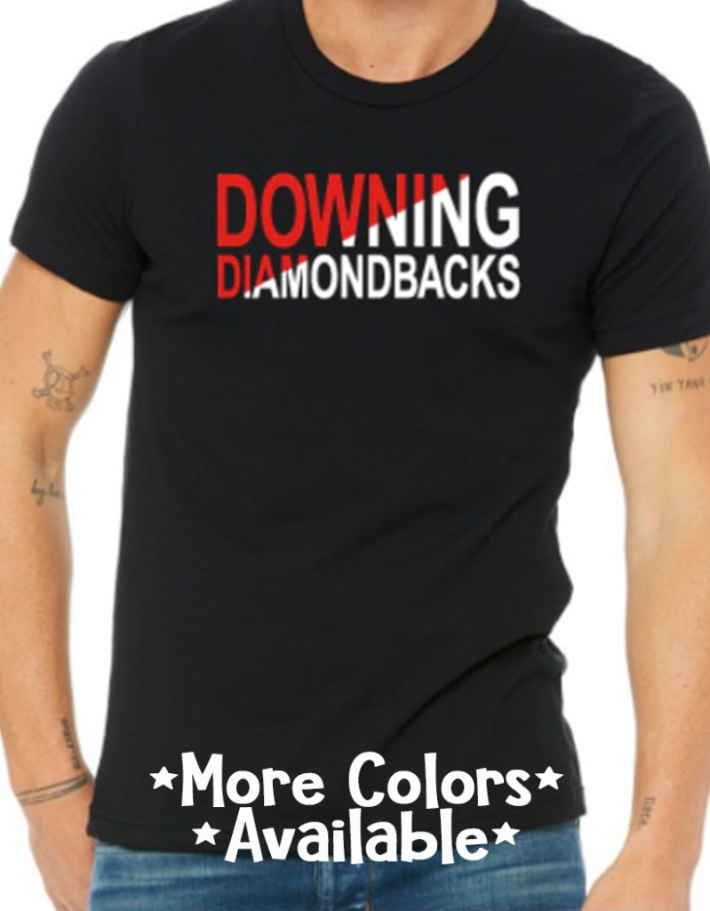 Downing PTA