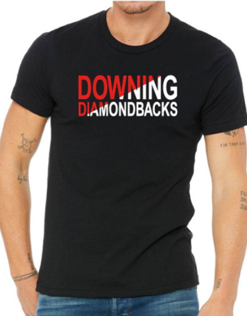 Downing PTA