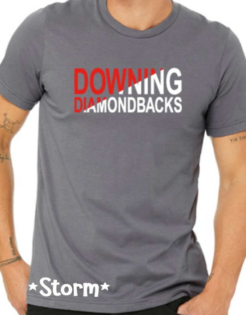 Downing PTA