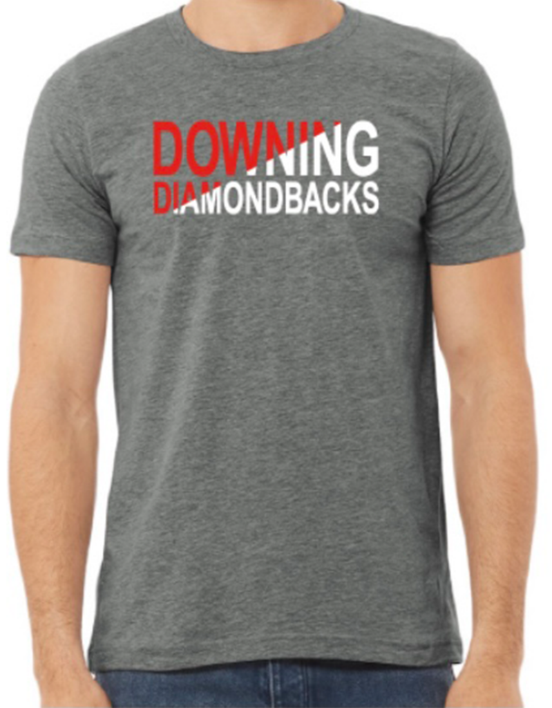 Downing PTA