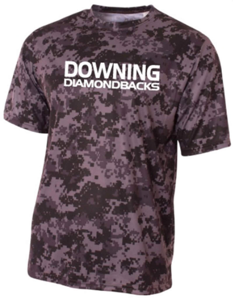 Downing PTA