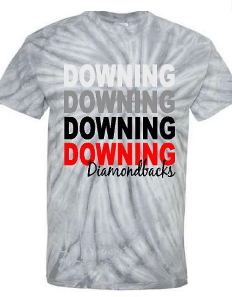 Downing PTA