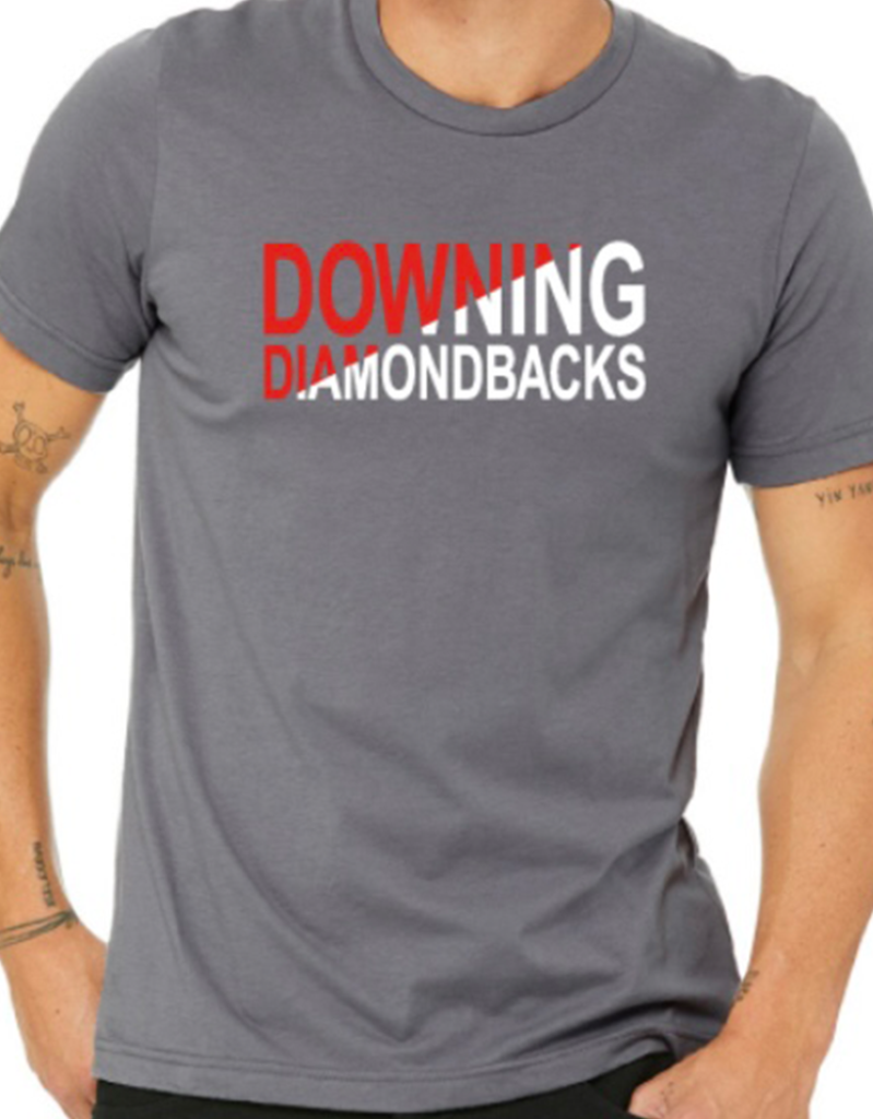 Downing PTA