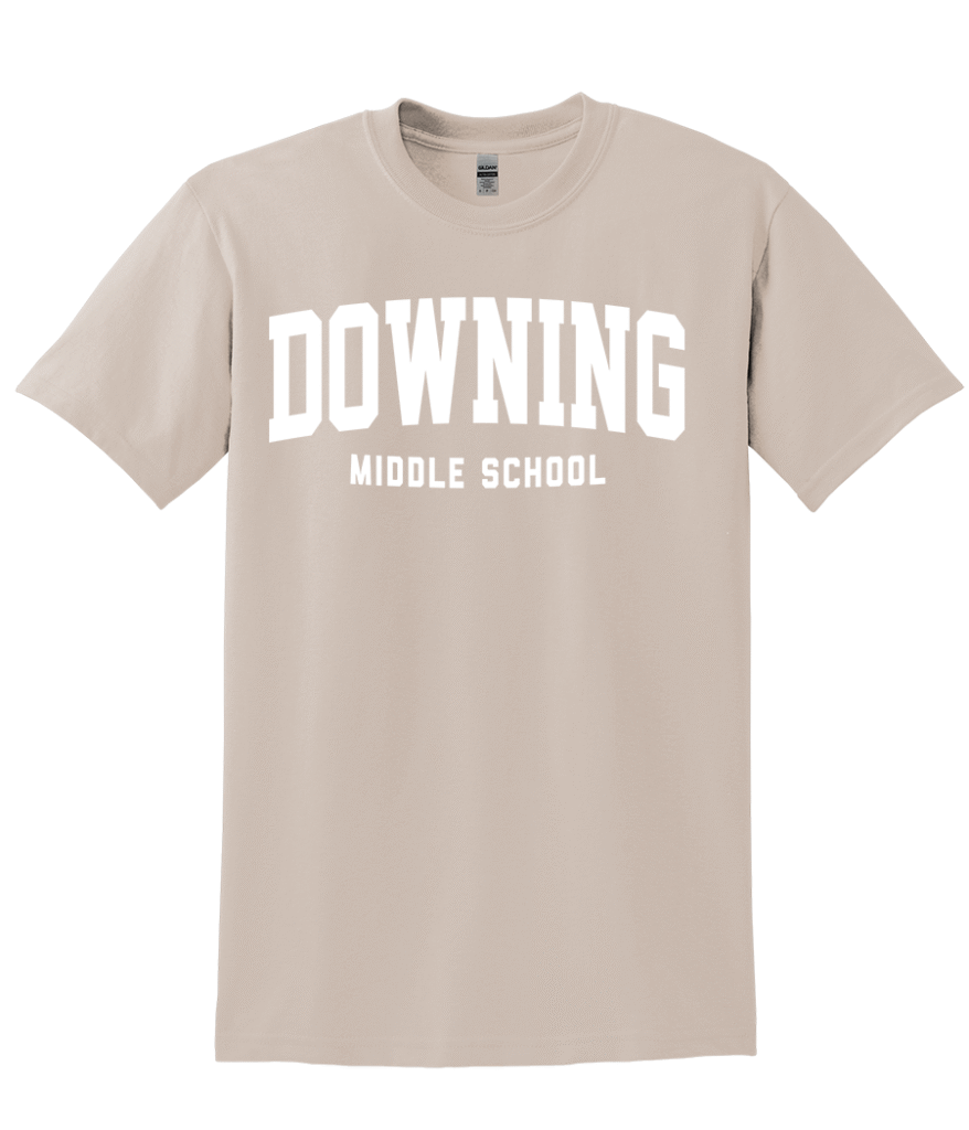 Downing PTA